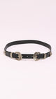 Double Buckle Belt