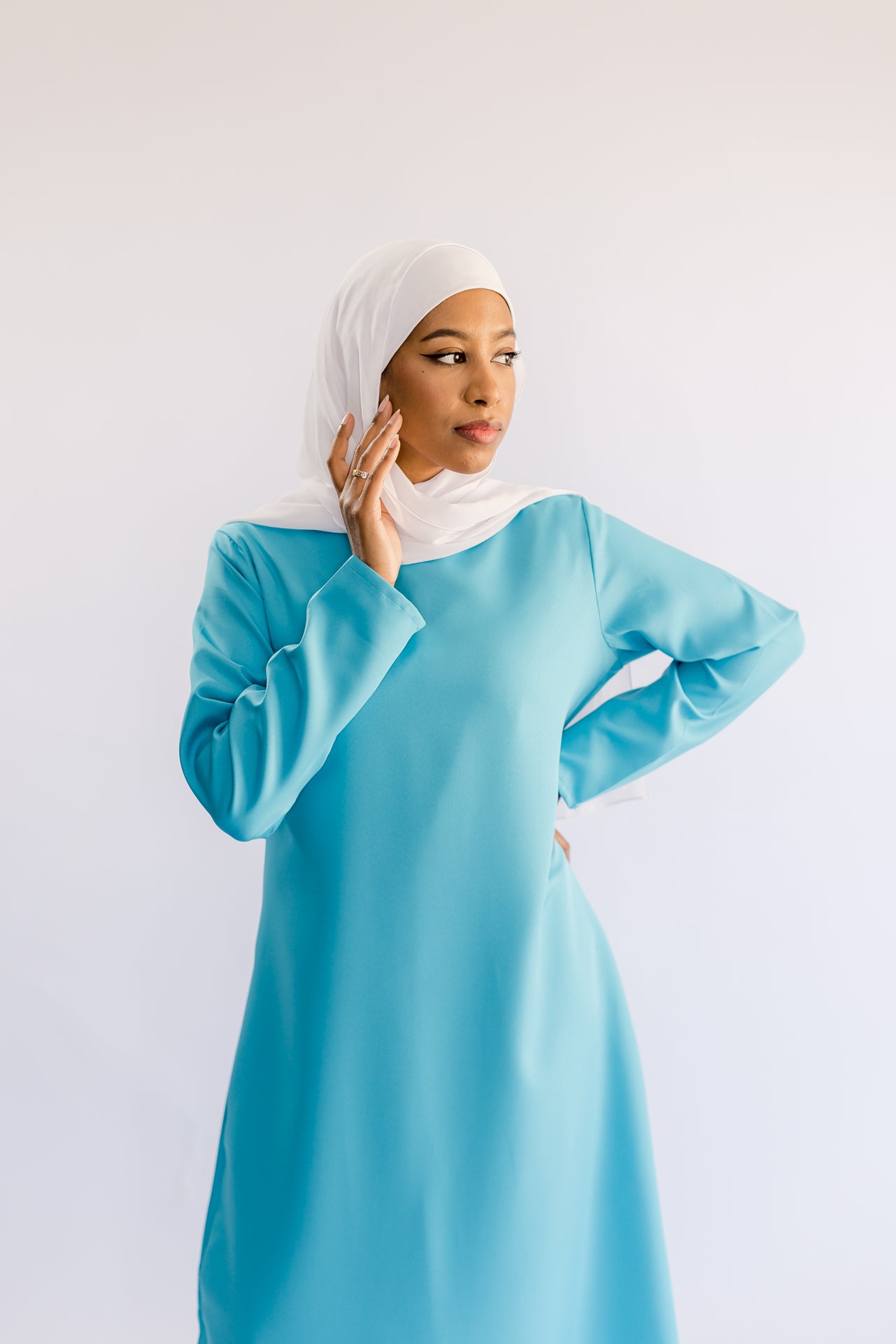 Long Sleeves Basic Dress